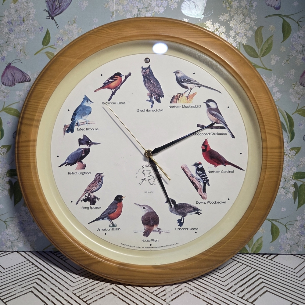 Vtg National Audubon Society Quartz 13" Wall Clock 12 Bird Sounds on the Hour